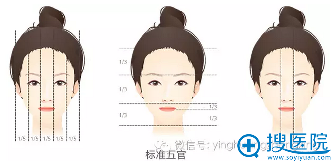 标准的五官实例 标准的五官实例